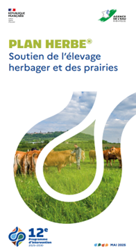 Document présentation Plans Herbe