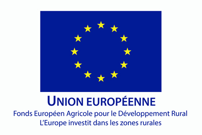 Commission Européenne