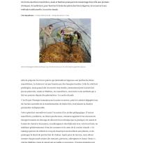 ...Moyen. L’énergie naturelle au service du maraîchage