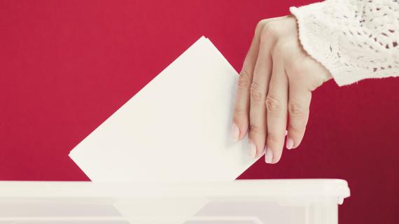 Elections Pays du Lunévillois