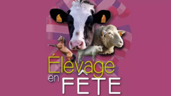 Image officielle Stan Elevage